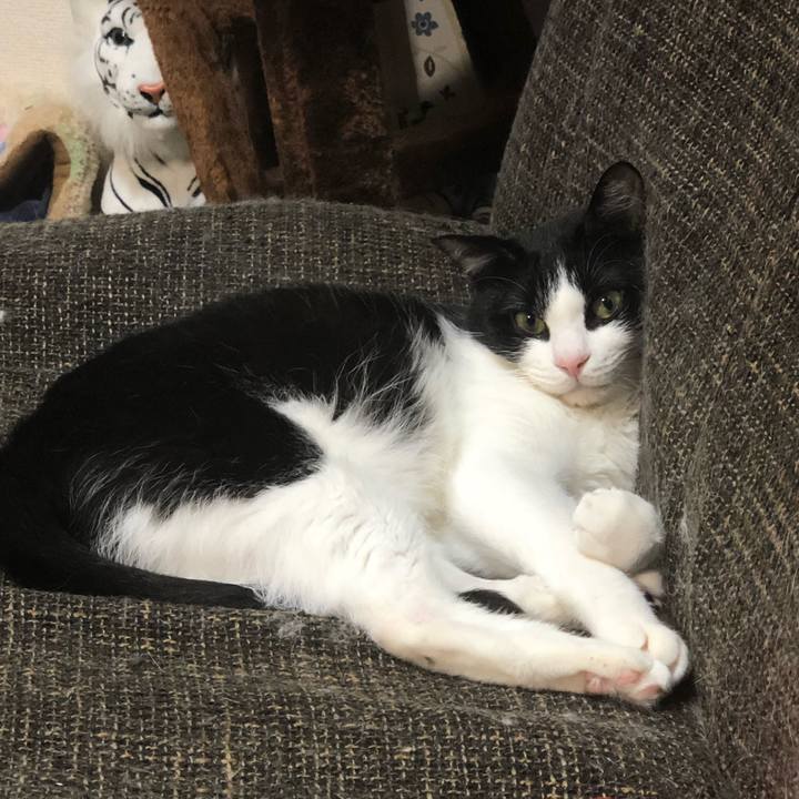 6d5f8bc1 c172 4894 bf2d 180da120148b 1526706184272