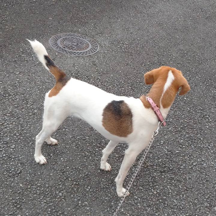 6d5fae42 736b 43a5 80f0 13aeb9f5849b 1594541851511