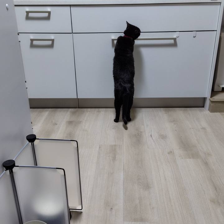 6d5fb23e 0d68 47e4 bc06 9fdd124969f6 1769042930675