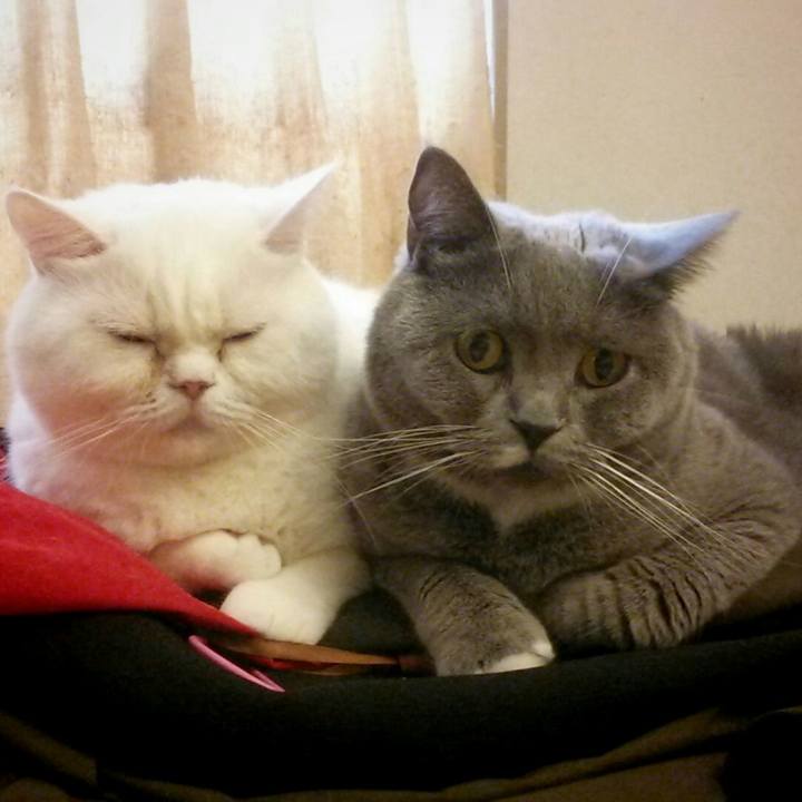 6d5fbc12 b956 4c2c b171 f092fe7505f7 1595053827422