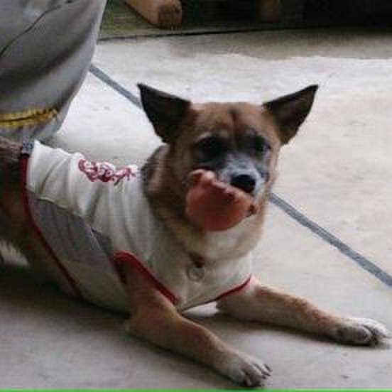 6d5fc1cc f60a 4f53 9a3b 2f0e582c9685 1675779430359