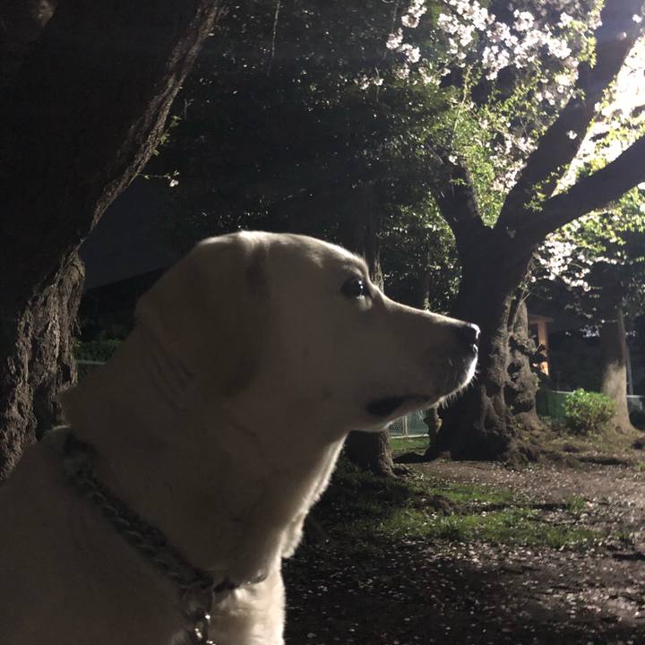 6d6002f9 fc17 4767 8639 2bb1be719a08 1648997490294