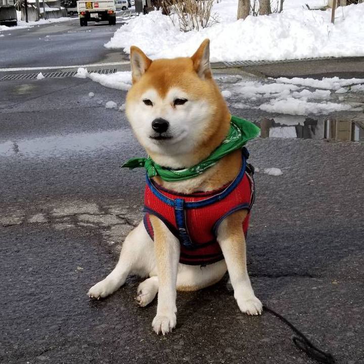 6d602640 77f3 4105 9885 511007d68278 1554270646078