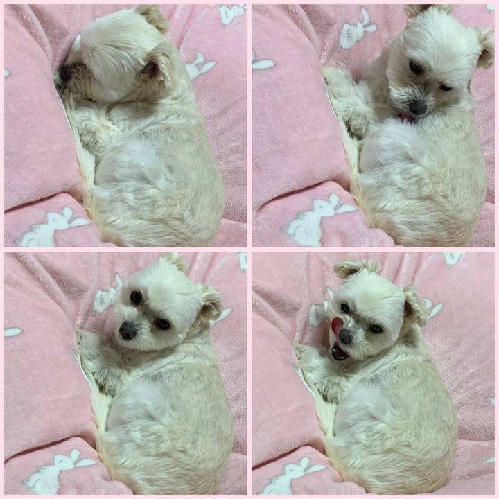 6d608707 954a 47d3 8609 761ea74040d4 1610281564129