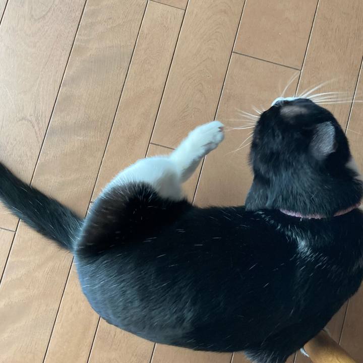 6d60d126 dbd0 477d b13c 29c67248fe9c 1613732157906