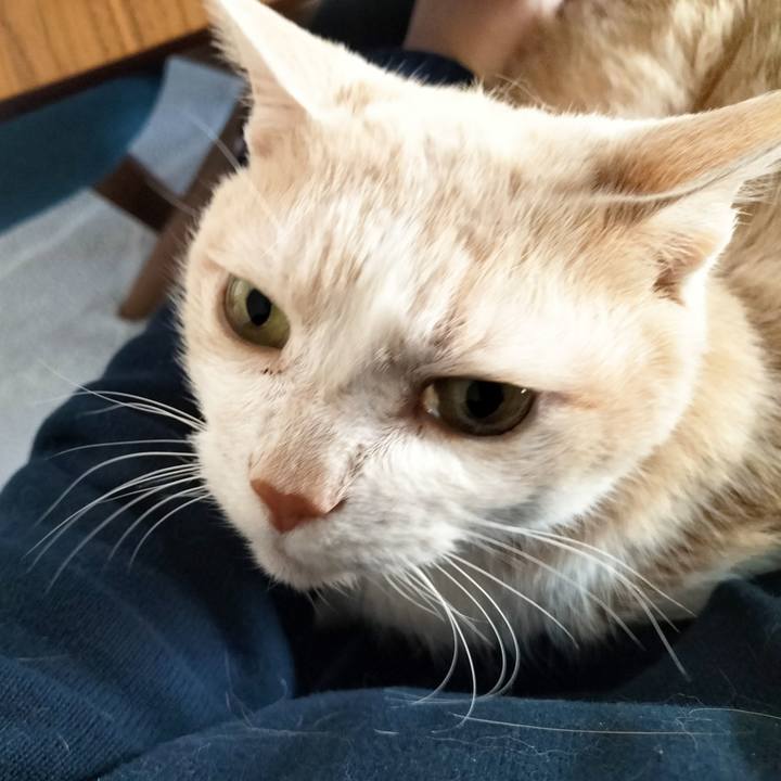 6d60deae 3312 4893 994c 451b6ba192d1 1710110422755