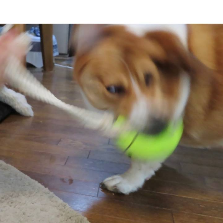 6d612d96 a793 4964 8515 c15ebd433379 1658452644354