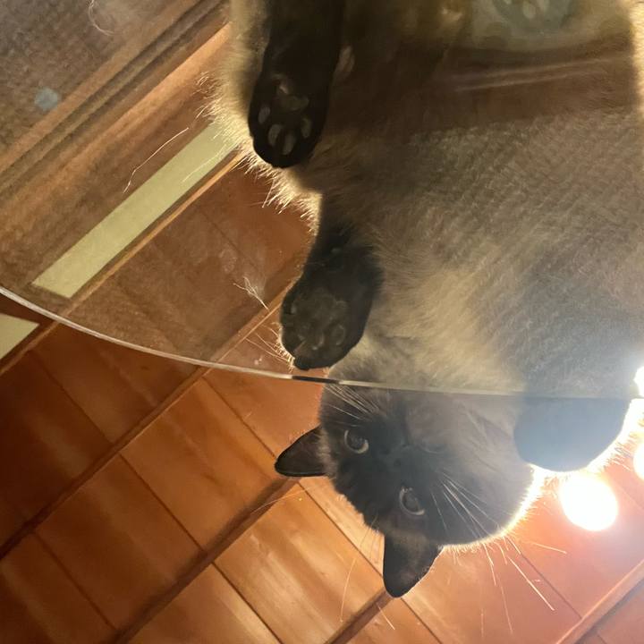 6d61318f 721d 4a3e a921 0ad2924bf390 1656934002308