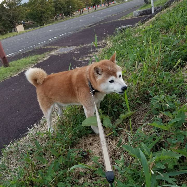 6d613323 2faa 42cb 99e6 f7120913df46 1664179515689