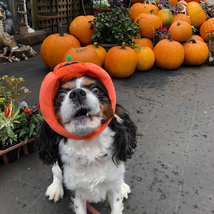 6d6137ce 92f0 4535 8876 80b3fef5ef3c 1536806990195