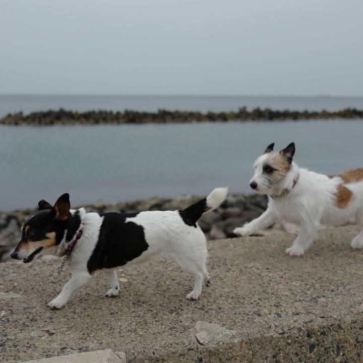 6d616d0a 4851 40cf be7d 5adb0337a620 1523419166439