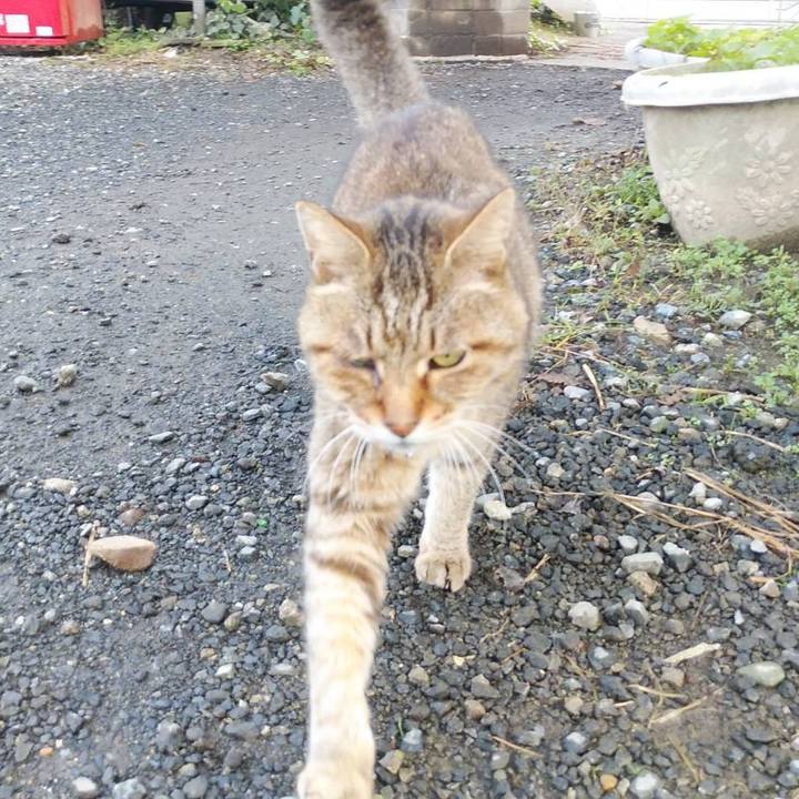 6d6173e5 8295 43d0 aa57 dfd4995f6758 1603151040776