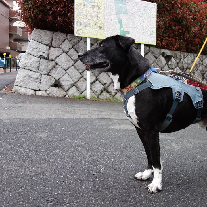 6d618d5e 3ef2 45e9 958c 851c1b9996c6 1712192222363