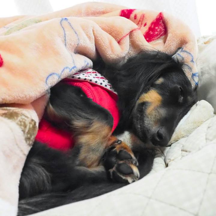 6d618f0e 1d49 456d 8a9f 691b11e716e4 1543381228501