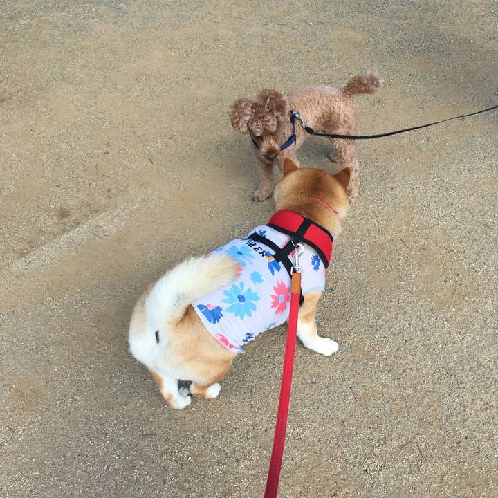 6d61b6b1 8082 420e bbd9 df74d21fd522 1596330316882