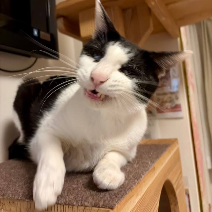 6d61d157 627c 40d4 8d5b 8109a667621b 1772121127298