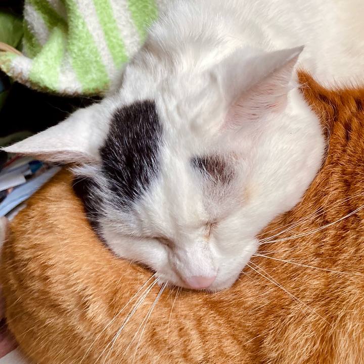 6d61e122 fea0 4e0c 96e0 cb3e05ffb0de 1649229811347