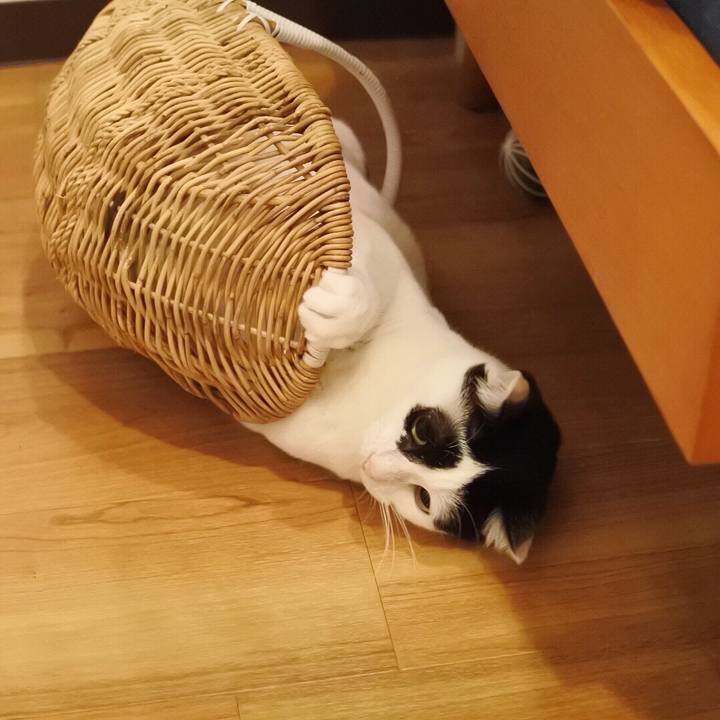 6d61e640 21e1 4e78 ad7f 12fa18343906 1525324030529