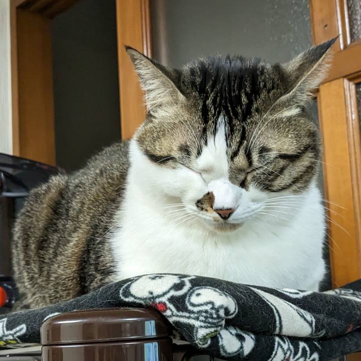 6d62125e 13e7 4a09 8bb2 35c882d692ad 1671359475512