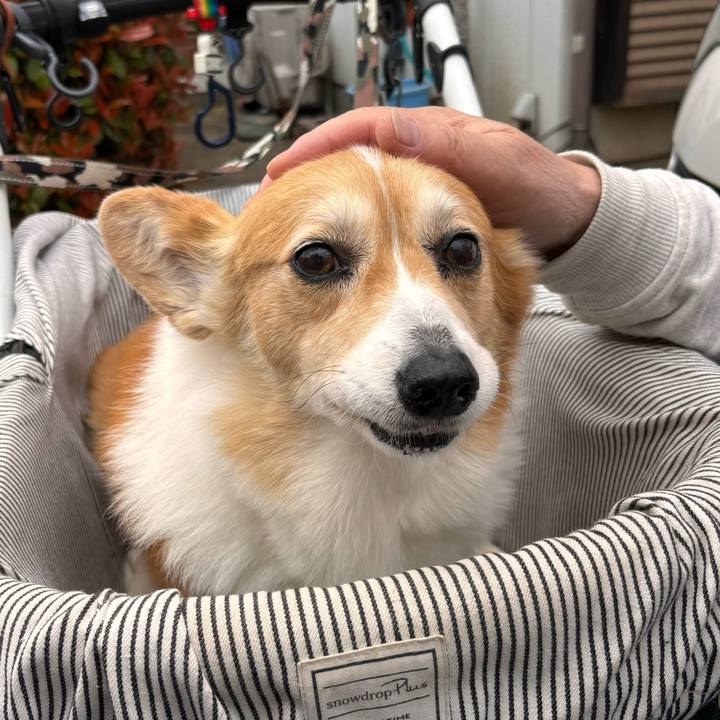 6d621ab7 907f 4895 af17 c72e7448f609 1775261836068