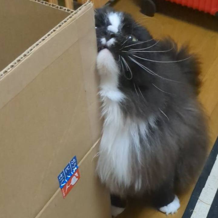 6d6225a4 1245 448c 85ca d2371e3adf5a 1728780536801