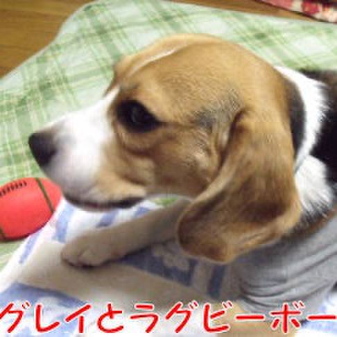 6d623654 bd6d 4ae3 b119 85ac1e553739 1719786512566