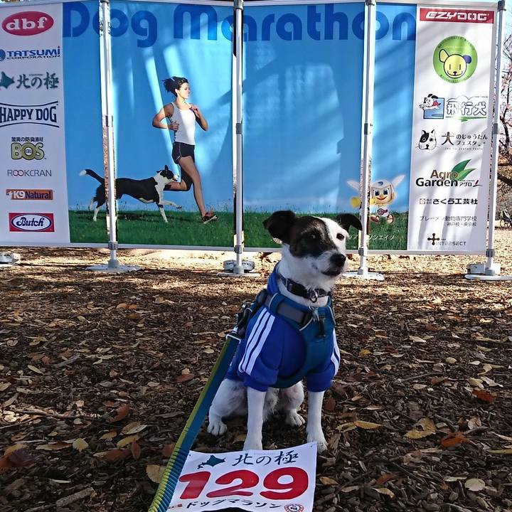 6d624ded cfe9 4458 b00b 84b2c61645ed 1511575236157