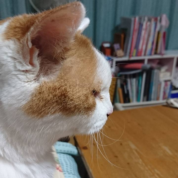 6d627ed3 baa8 4bd4 a587 15faabf9b058 1534335662762