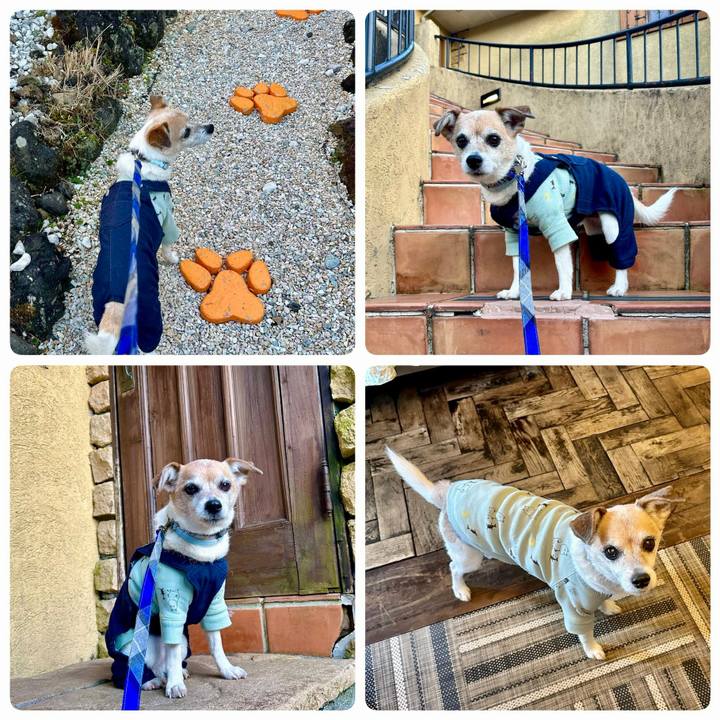 6d62a91d ce9f 445b 8b6f 7ff10047f612 1678004108096