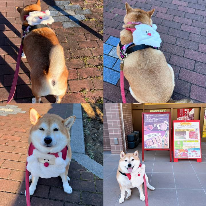 6d62daca f71c 4722 8672 22c1a690f5a6 1671870173491