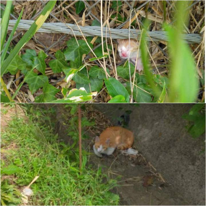 6d62e03e 228c 4020 877a f1cedb453d4f 1695766035377