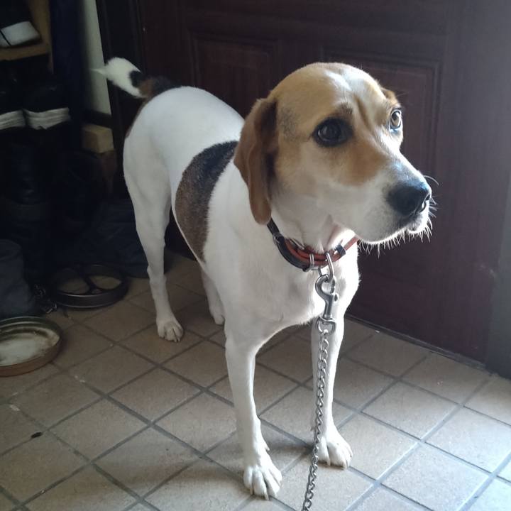 6d62e96a ab00 4d87 a8ad a51f757bdd46 1628141798770