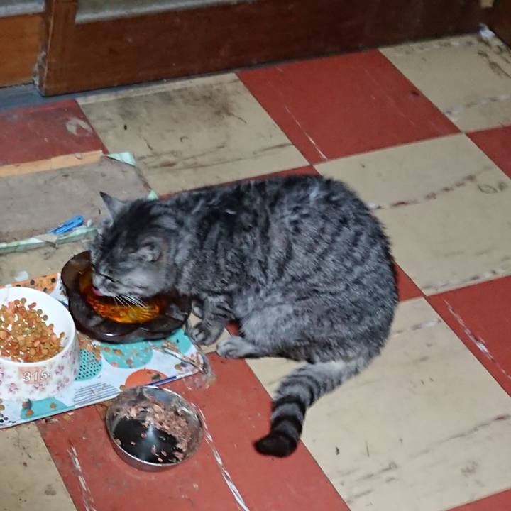 6d630a36 88c0 444f 9c03 bc1e0491c22d 1577652424955