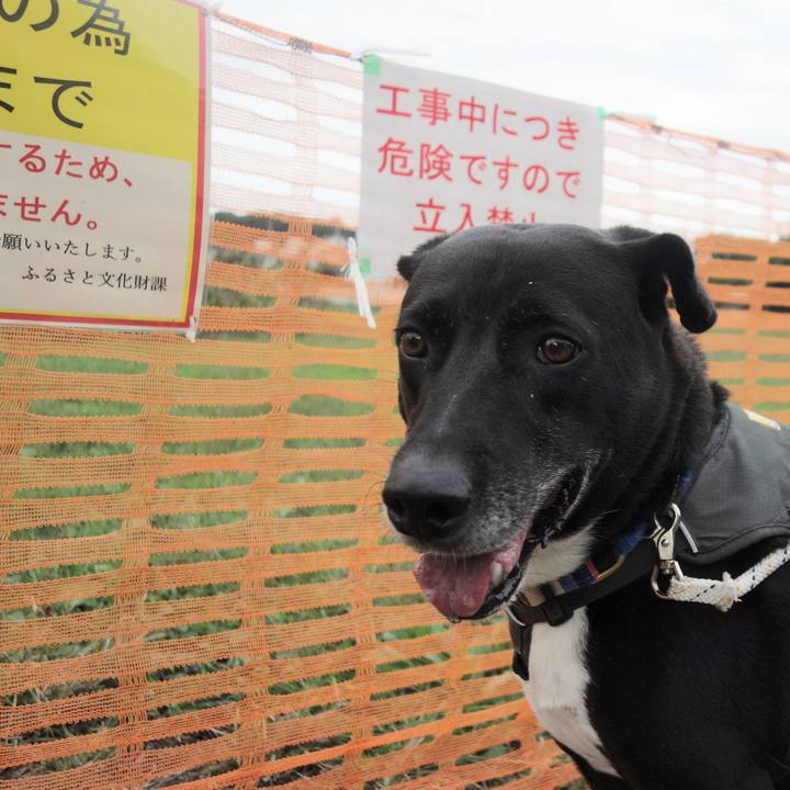 6d632b31 87bb 4eba a3f9 f7659ad780a4 1665534620978