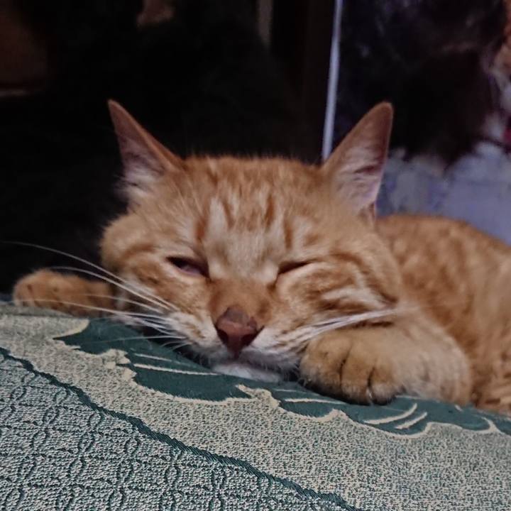 6d636c53 4564 460b b820 17f3b0dff818 1656767286769