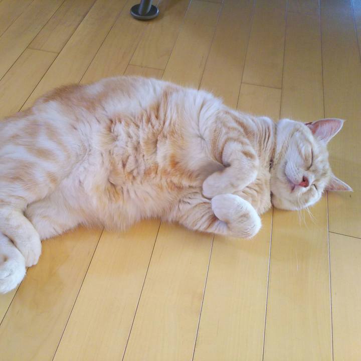 6d638036 20a1 43f7 a461 e743b92d5dcb 1528181717251