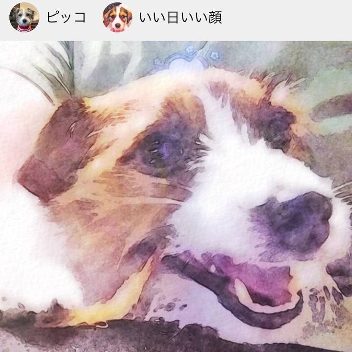 6d638318 385c 405e 8c81 fabbbf10b369 1509746943106