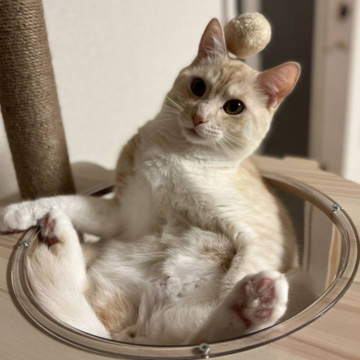 6d64122d 95c8 4a40 b00a c34841b47299 1660357786253