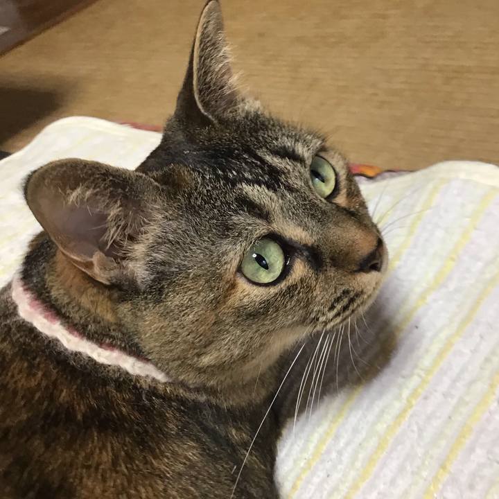 6d6443c5 d3d6 4096 bbb4 651cf0e73431 1722069159417