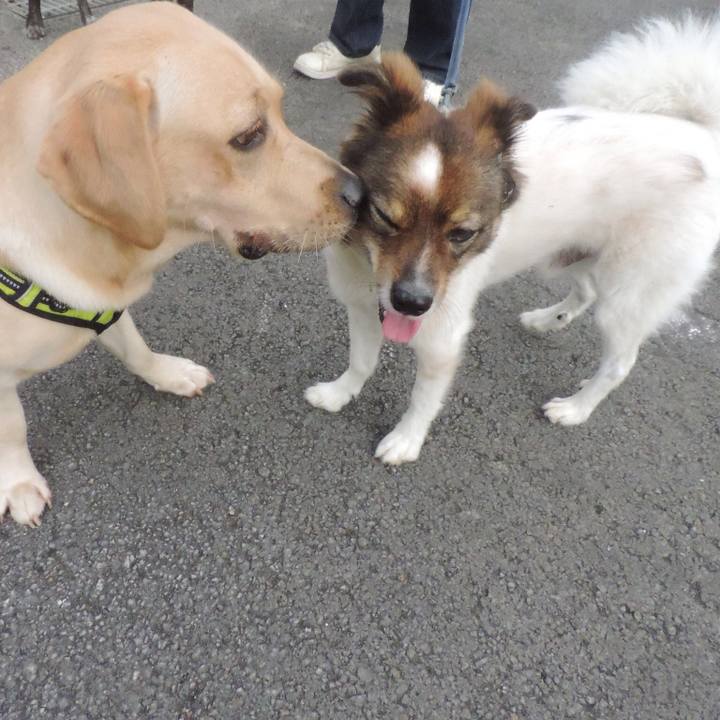 6d6475b4 f591 4d8c 984a 2e2216328176 1510494332317