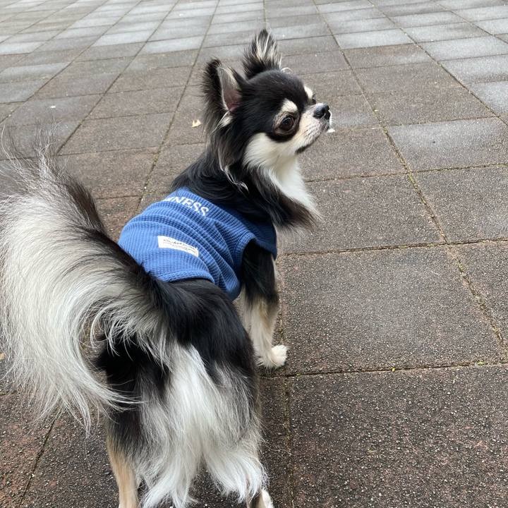 6d64949e 7c77 4e66 ac16 84305c1f0469 1617511885166