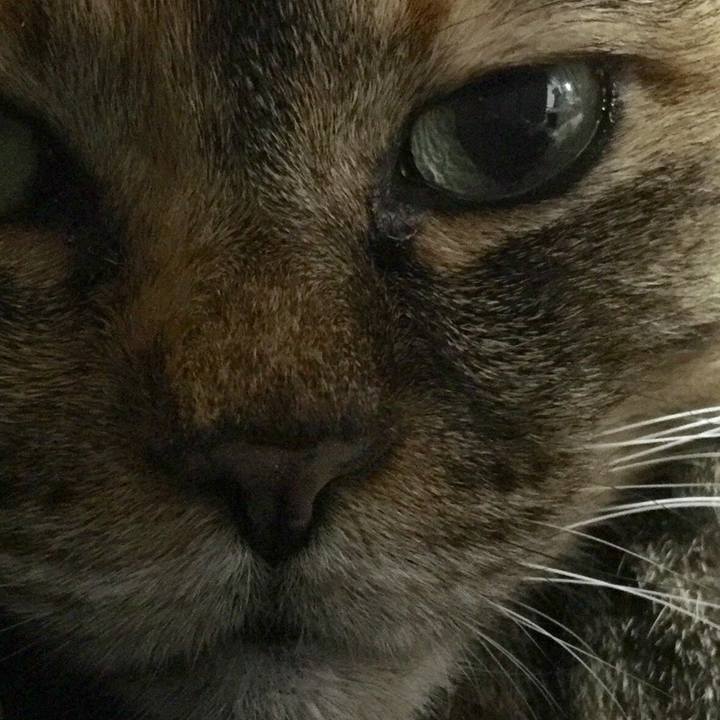 6d649ed5 9b13 4fd4 877c 52bd52563bf0 1532779802339