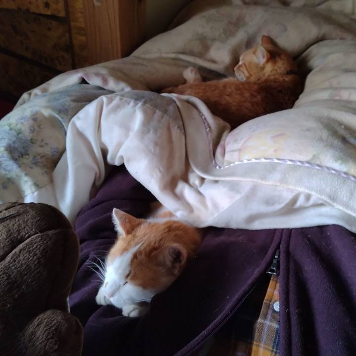 6d64efdd 924b 405e 8aa2 0ae80845669d 1773469648891