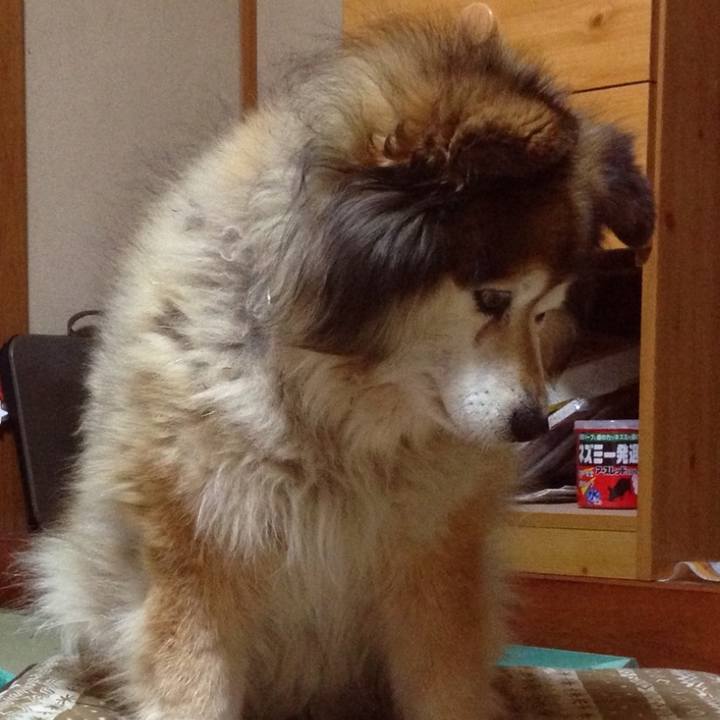 6d64f4e8 3cac 40d6 9a69 f76db489ede0 1659561913670