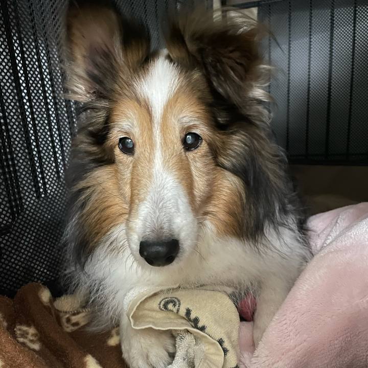 6d64f778 dfda 4461 a114 33c131aebbc0 1608457706143