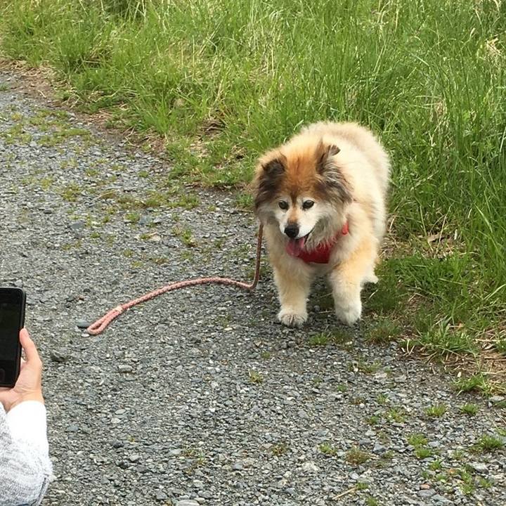 6d64fbf9 21a8 4391 8be7 0b53d4a5d767 1615353967086