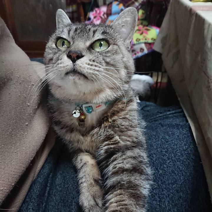 6d651ed1 3ce4 4086 9ce4 e0565dd28451 1575176607298