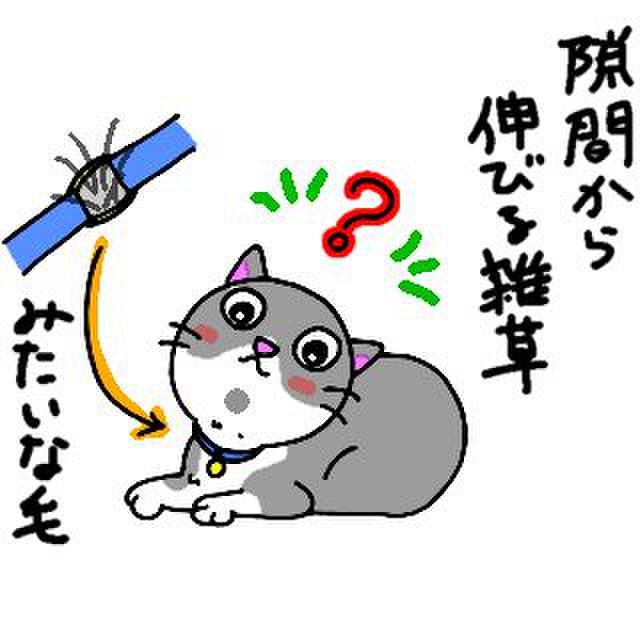 6d6528a1 3e79 44cb aba2 ca8fb2b85ff5 1759536867841