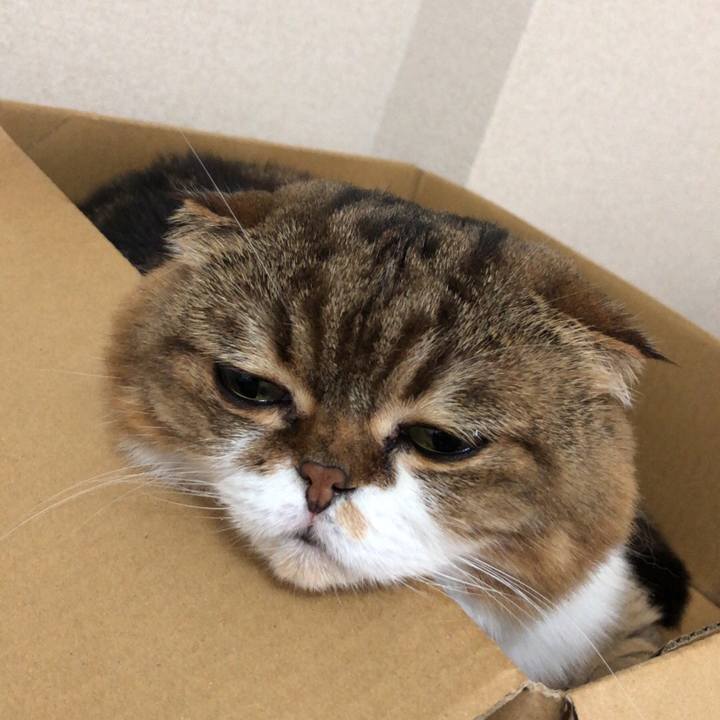 6d652f17 08b5 4b74 8761 0739822c2a9a 1536722697608