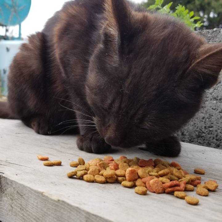 6d654154 a83a 47f3 9106 f88eed100fdb 1559795509587